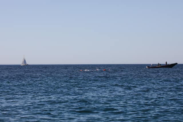 SwimParty 2026 — photo 36 by gotit.shots