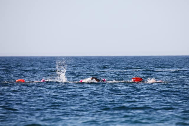 SwimParty 2026 — photo 37 by gotit.shots