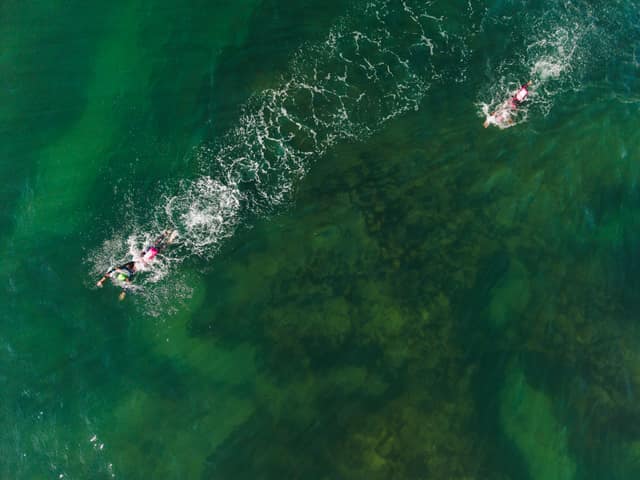 SwimParty 2026 — photo 71 by gotit.shots